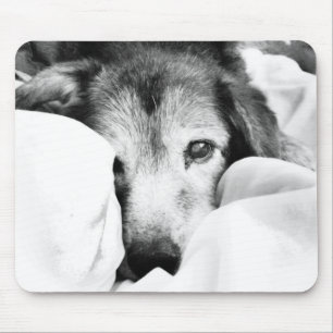 Tapis De Souris chien endormi blotti sur lit noir blanc gris