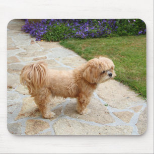 Tapis De Souris Chien Lhasa Apso dans un jardin