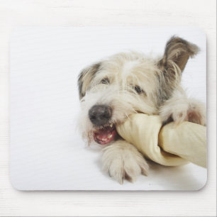 Tapis De Souris Chien mâchant sur l'os de cuir vert