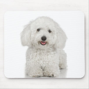 Tapis De Souris Chien maltais blanc