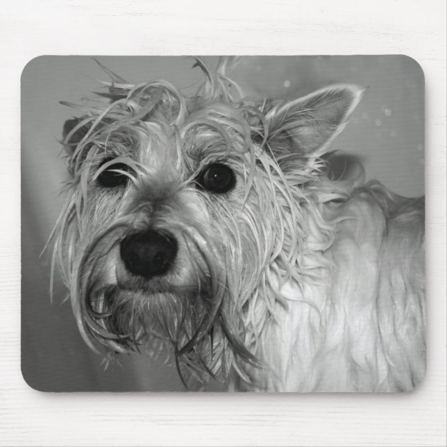 Tapis De Souris Chien mignon - Westie (Terrier des montagnes (Devant)