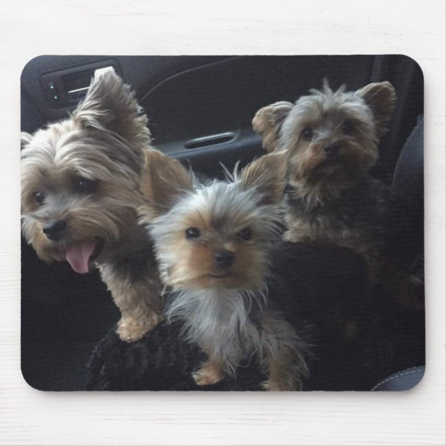 Tapis De Souris Chien Mousepad (Devant)