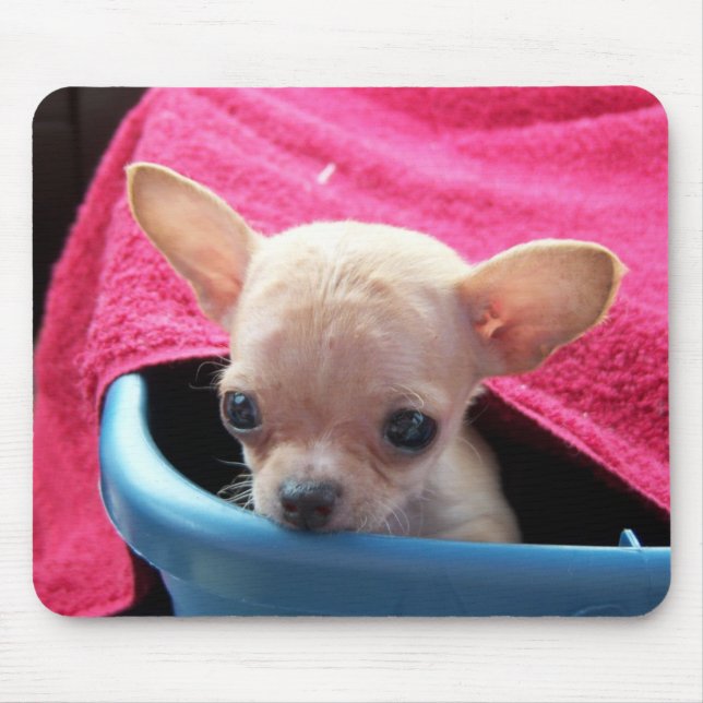 Tapis De Souris Chien Mousepad de chiwawa (Devant)