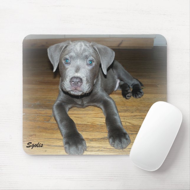 Tapis De Souris Chien Pitbull / Chien mignon (Avec souris)
