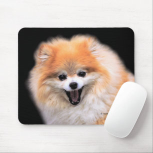 Tapis De Souris Chien Poméranien mignon riant