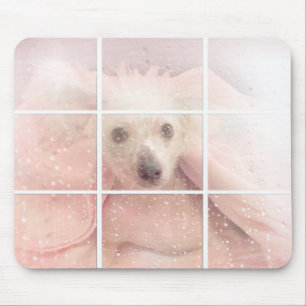 Tapis De Souris Chien sans cheveux dans la fenêtre