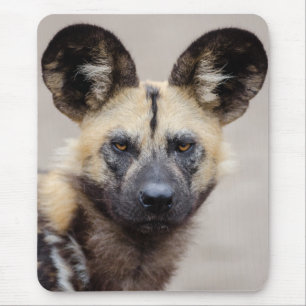 Tapis De Souris Chien sauvage africain (Chien peint)