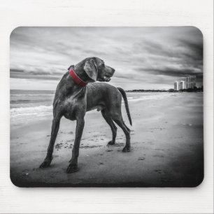 Tapis De Souris Chien sur la plage Photo noir et blanc avec collie