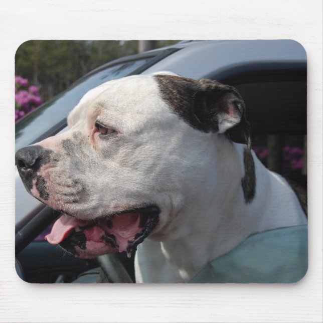 Tapis De Souris Chien taureau américain (Devant)