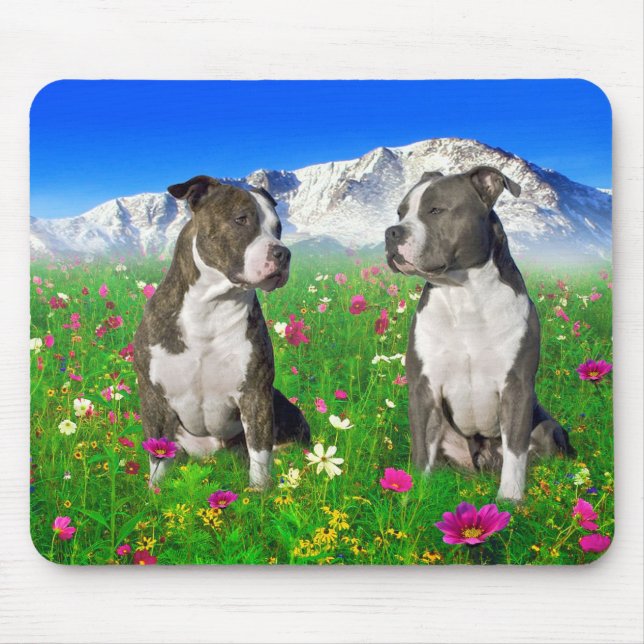 Tapis De Souris Chiens Brindle et bleus du Staffordshire et de (Devant)
