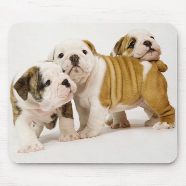 Tapis De Souris Chiens chiots anglais joyeux jouant à Mousepad (Devant)