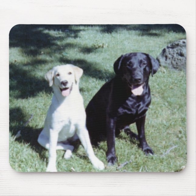 Tapis De Souris Chiens de Labrador (Devant)