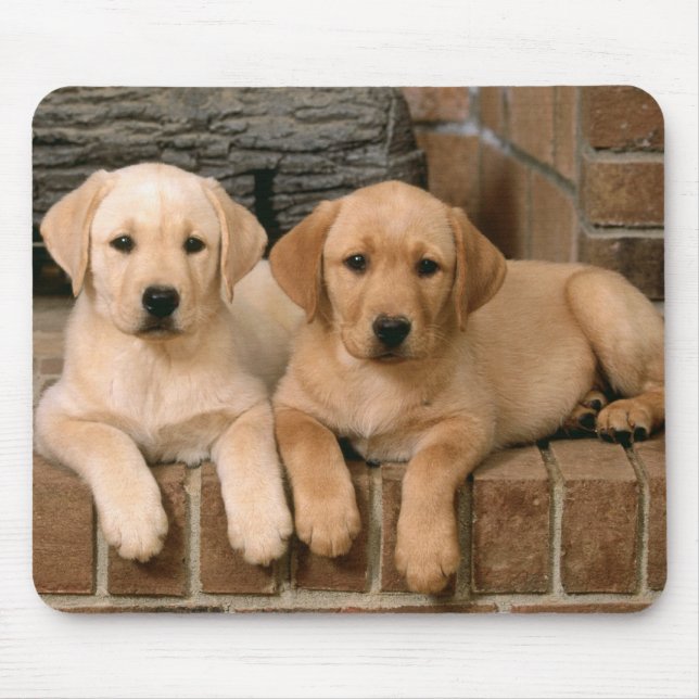 Tapis De Souris Chiens de marionnettes du Labrador jaune (Devant)