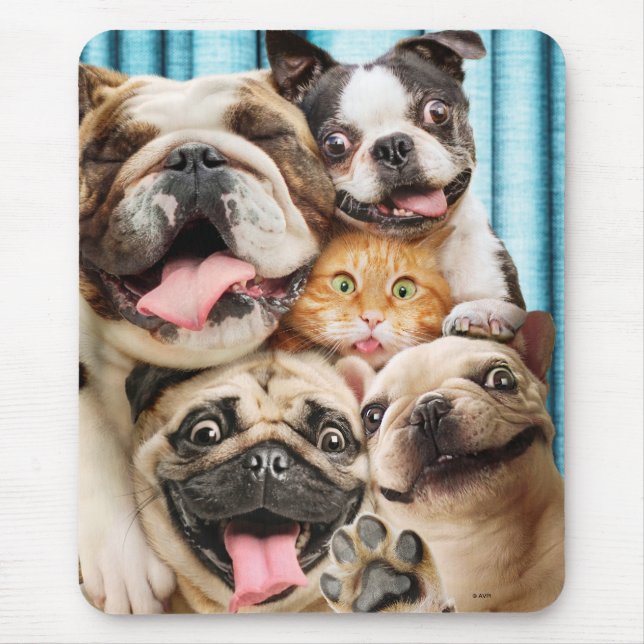 Tapis De Souris Chiens et photo d'un groupe de chats (Devant)