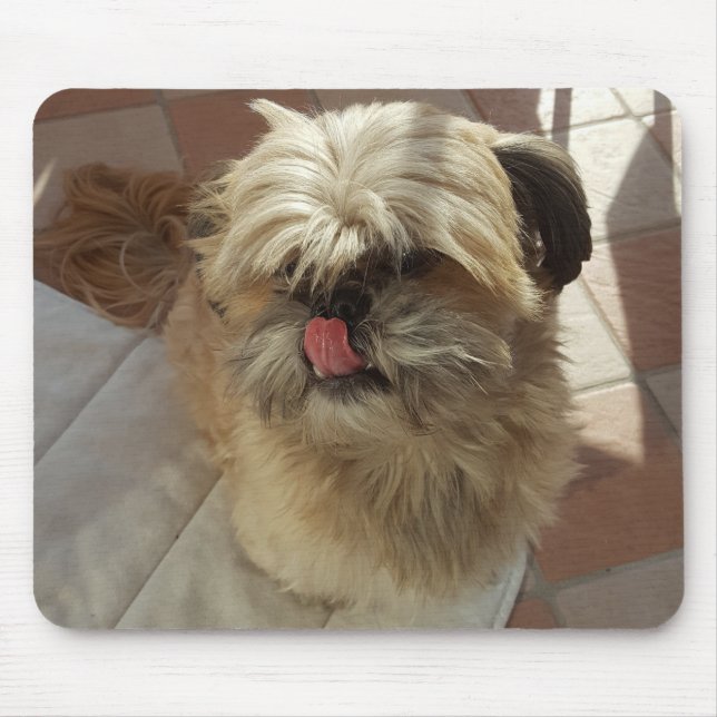 Tapis De Souris Chih Tzu chien mousepad (Devant)