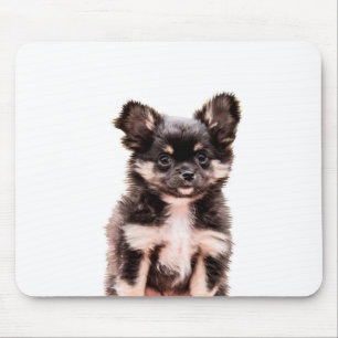 Tapis De Souris Chihuahua Chien chiot