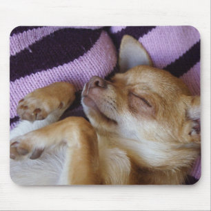 Tapis De Souris Chihuahua endormi