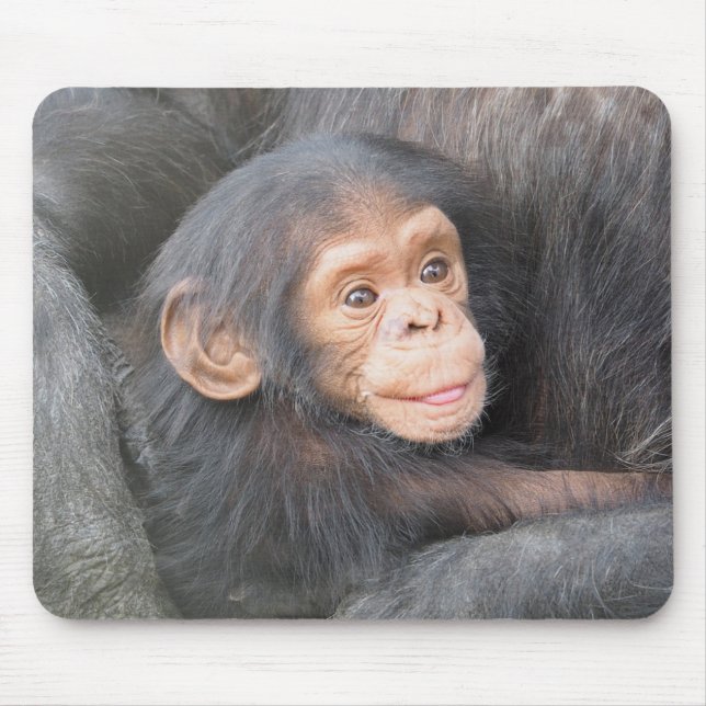 Tapis De Souris Chimpanzé (Devant)