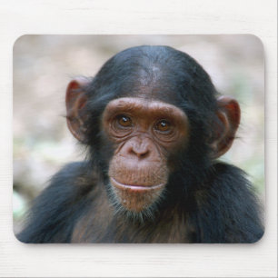 Tapis De Souris Chimpanzé effronté