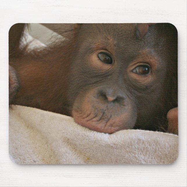 Tapis De Souris Chimpanzé Mousepad de bébé (Devant)