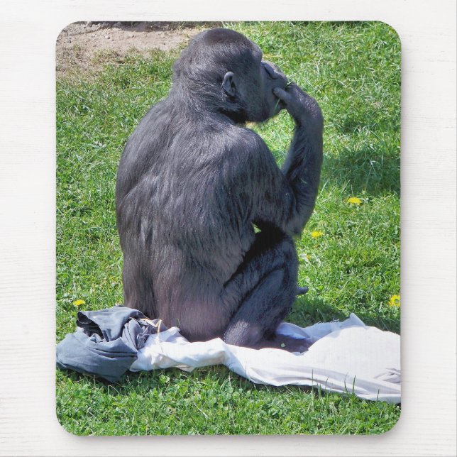 TAPIS DE SOURIS CHIMPANZÉS (Devant)
