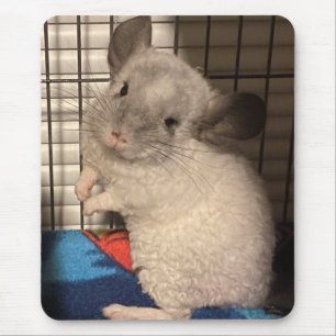 Tapis De Souris chinchilla