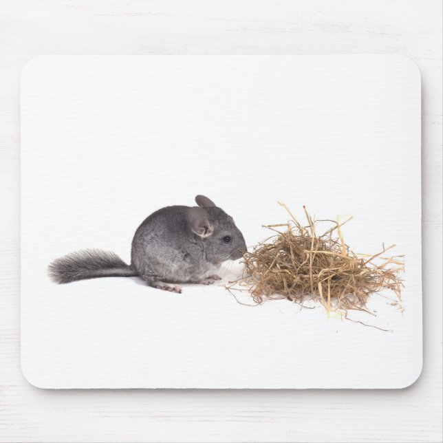 Tapis De Souris chinchillas (Devant)