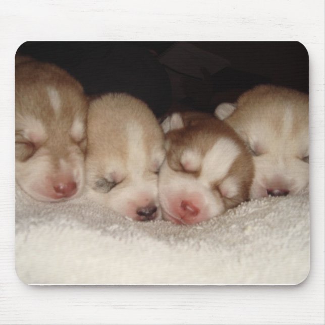 Tapis De Souris chiot (Devant)
