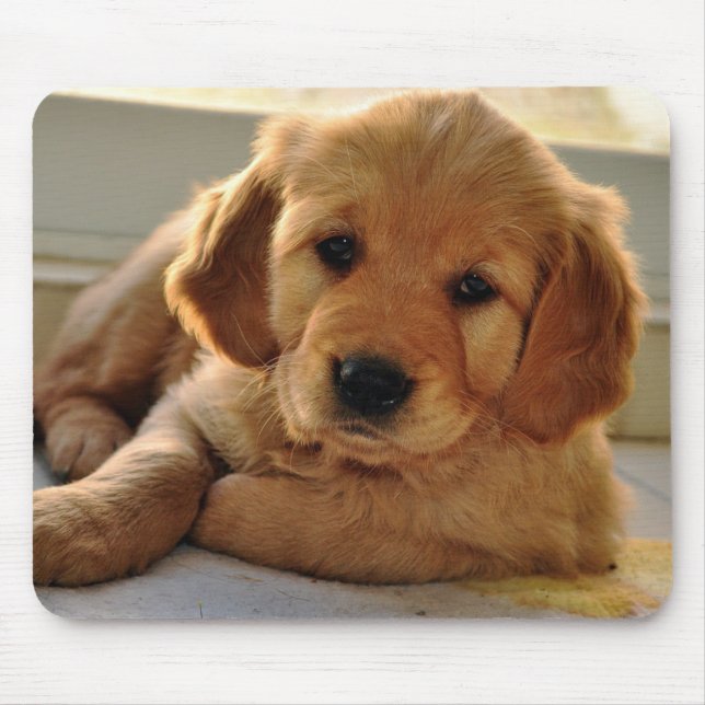 Tapis De Souris Chiot adorable de golden retriever (Devant)