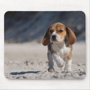 Tapis De Souris chiot beagle