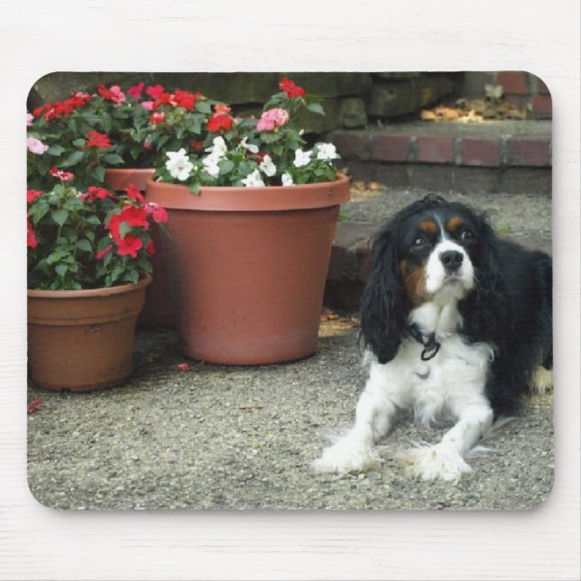 Tapis De Souris Chiot cavalier du Roi Charles avec des fleurs (Devant)