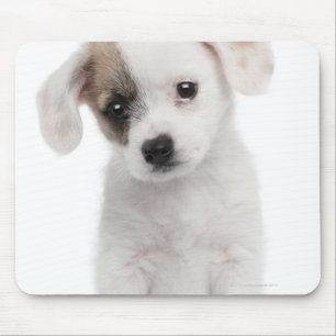 Tapis De Souris Chiot croisé de race (2 mois)
