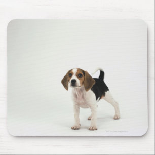 Tapis De Souris Chiot de beagle