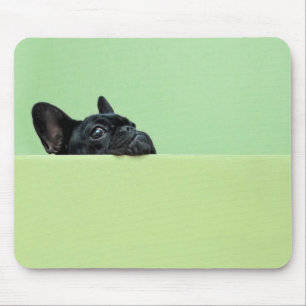 Tapis De Souris Chiot de bouledogue français scrutant au-dessus d