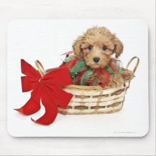 Tapis De Souris Chiot de caniche se reposant dans le panier de