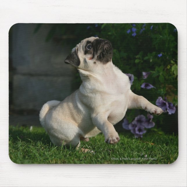 Tapis De Souris Chiot de carlin de faon (Devant)