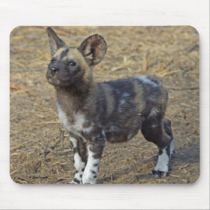 Tapis De Souris Chiot de chien sauvage