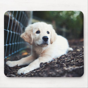 Tapis De Souris Chiot de Labrador jouant dans le jardin