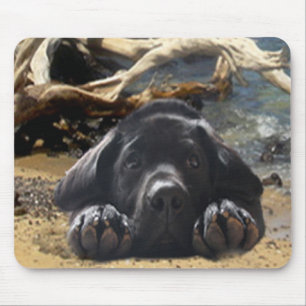 Tapis De Souris Chiot de labrador retriever sur la plage Mousepad