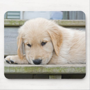 Tapis De Souris chiot de l'or triste