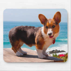 Tapis De Souris chiot de Pembroke Welsh Corgi debout sur une table