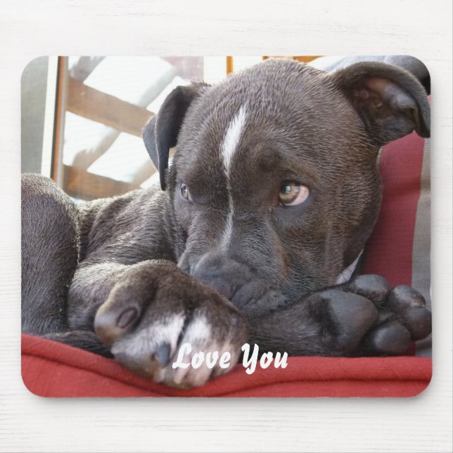 Tapis De Souris Chiot de Pitbull de bébé (Devant)