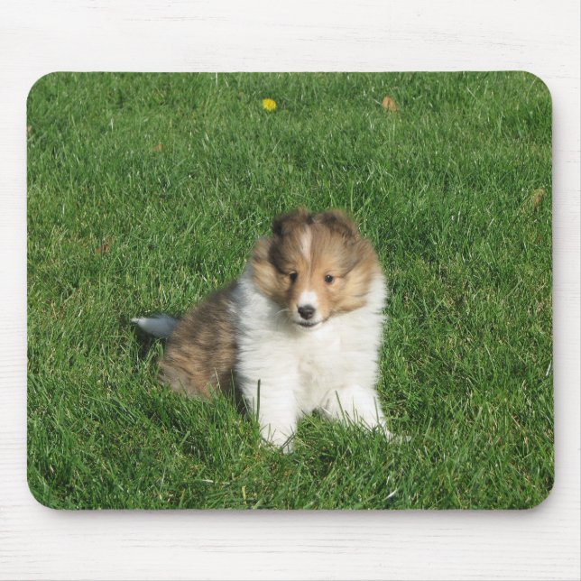 Tapis De Souris Chiot de Sheltie dans le mousepad d'herbe (Devant)