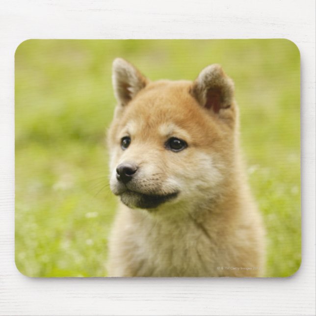 Tapis De Souris Chiot de Shiba-ken (Devant)