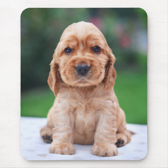 Tapis De Souris Chiot d'épagneul de Coker (Devant)