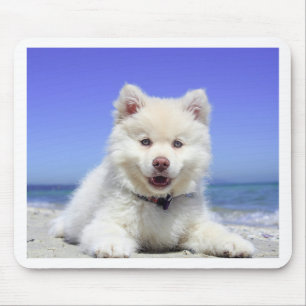 Tapis De Souris Chiot enroué blanc avec des yeux bleus