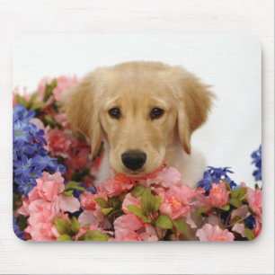Tapis De Souris Chiot et fleurs de golden retriever