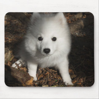 Tapis De Souris Chiot japonais de Spitz