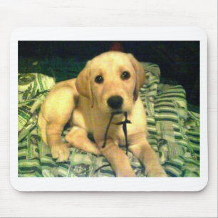 Tapis De Souris chiot jaune de labrador retriever