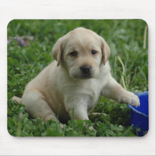 Tapis De Souris chiot-laboratoire-HD-papier peint